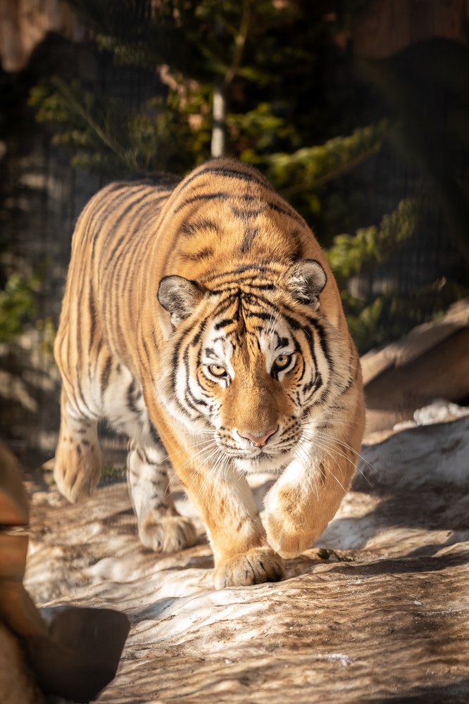 Фотография автора Дмитрий Эбингер