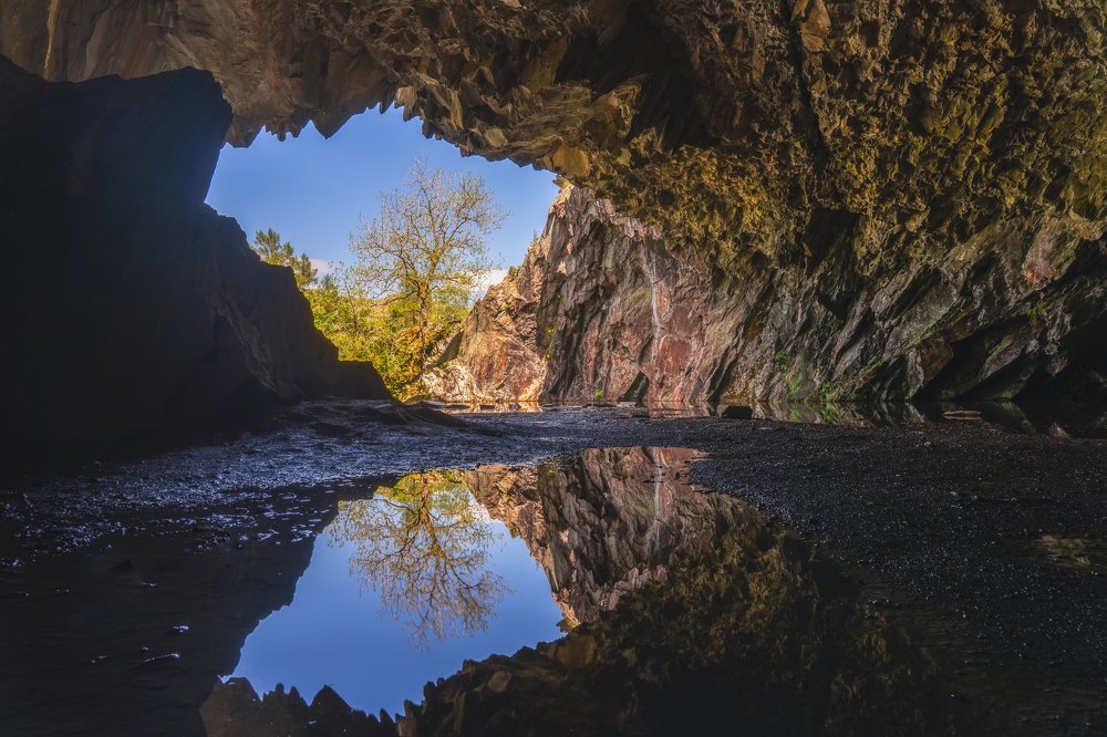 Photograph by Andy Fowlie