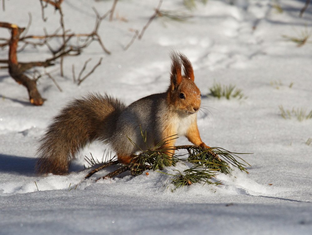 Photograph by Алексей Хазов