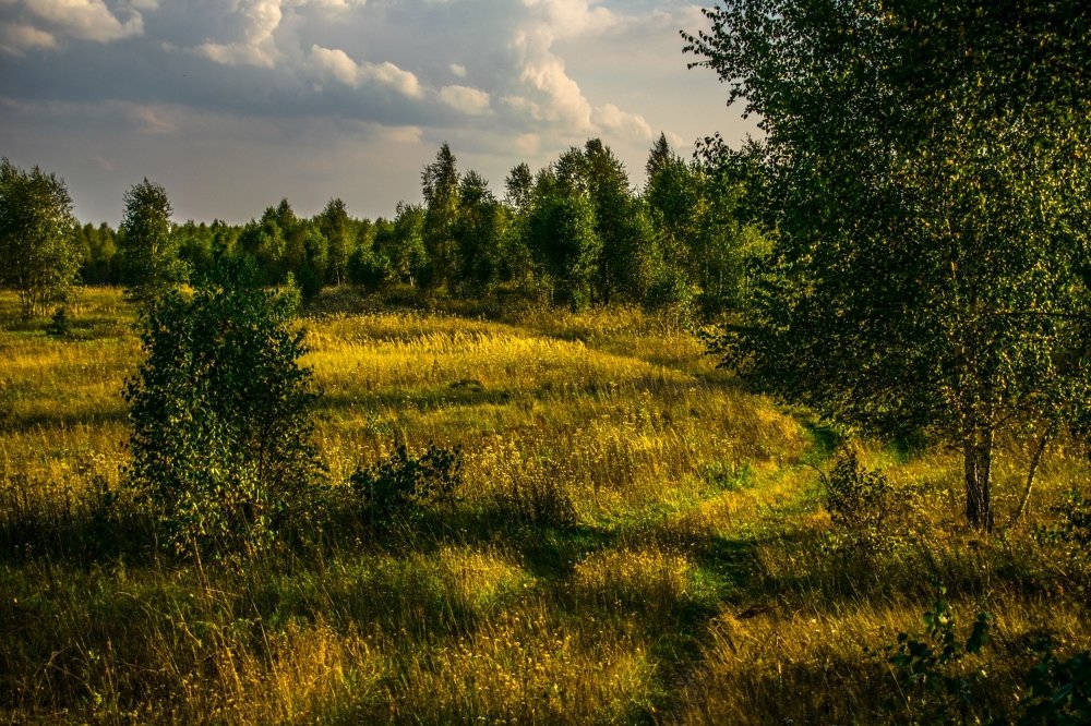 Сентябрьский вечер