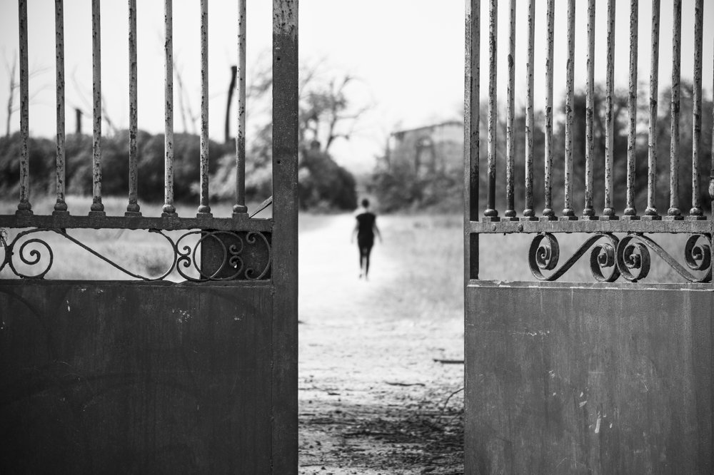 Photograph by nuno andrade