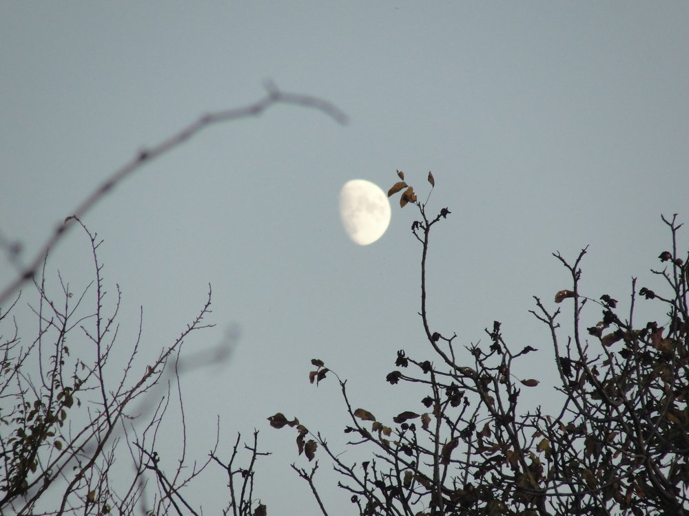 Photograph by Elene Khaladze