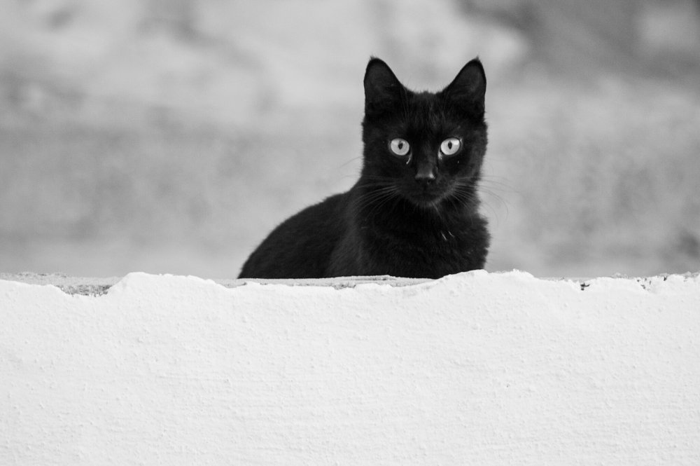 Photograph by Hammouda Zied