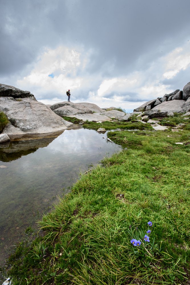 Photograph by diego vera