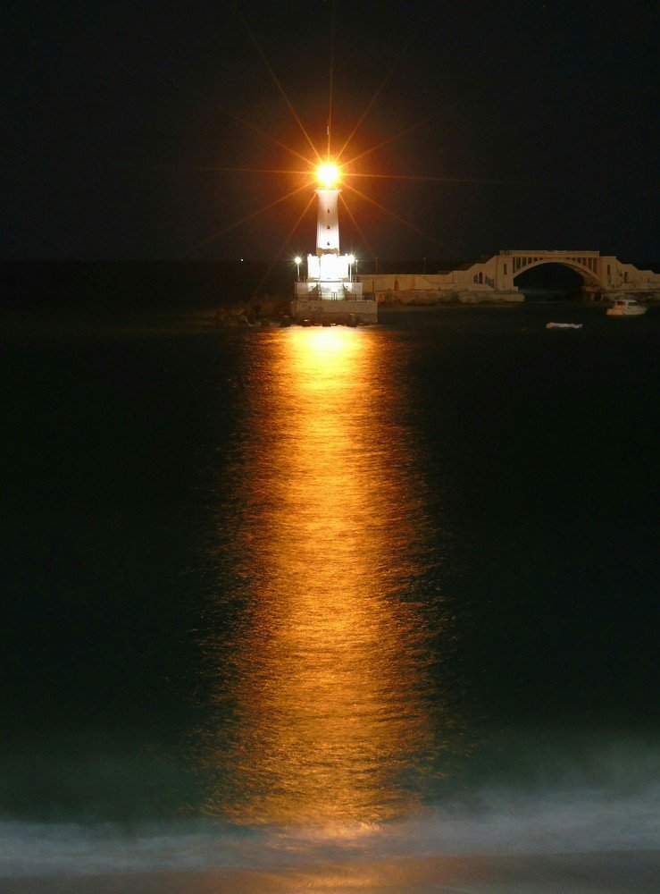 Photograph by ASHRAF FATHY BAKRY