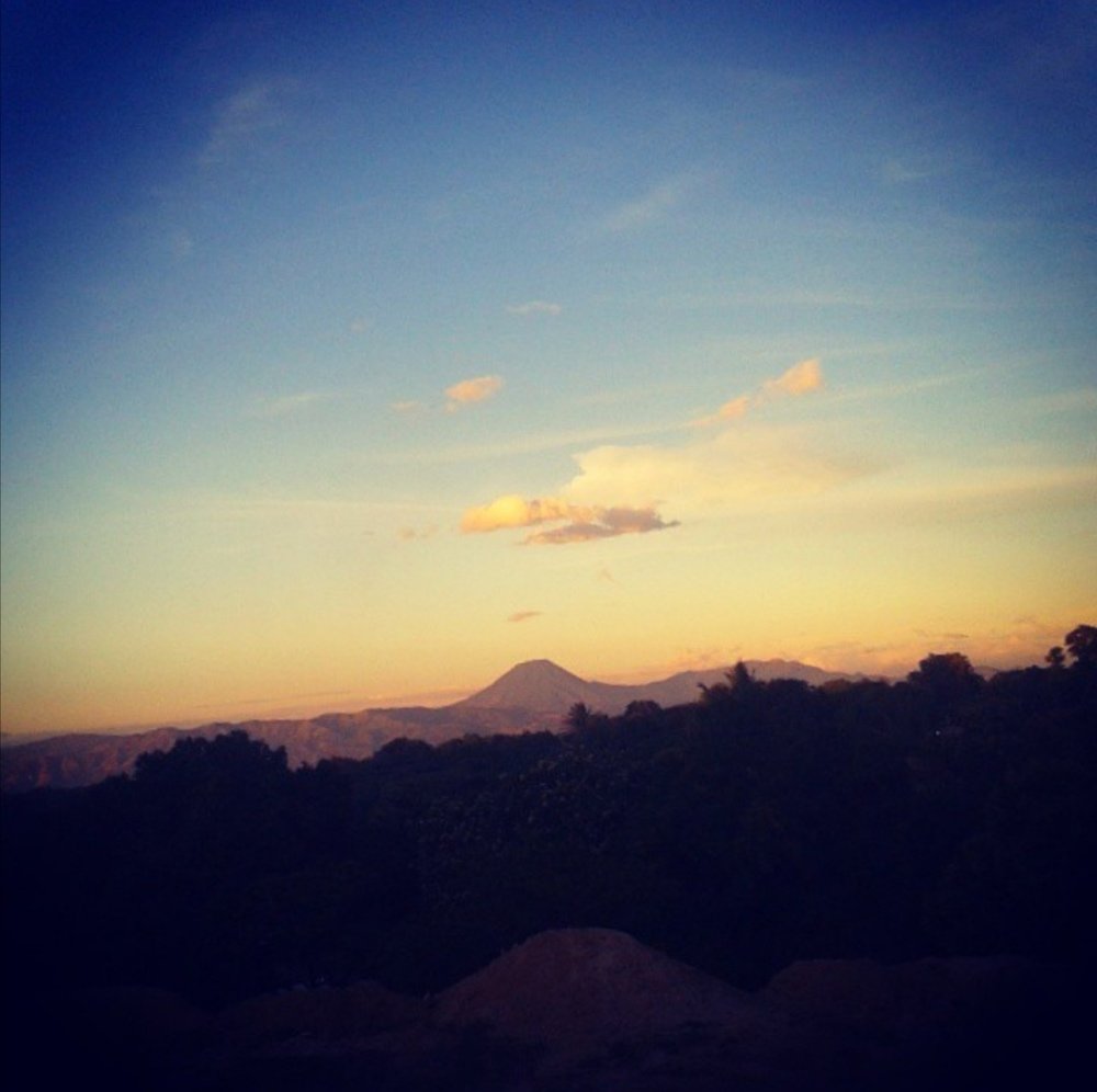 Photo #4537308