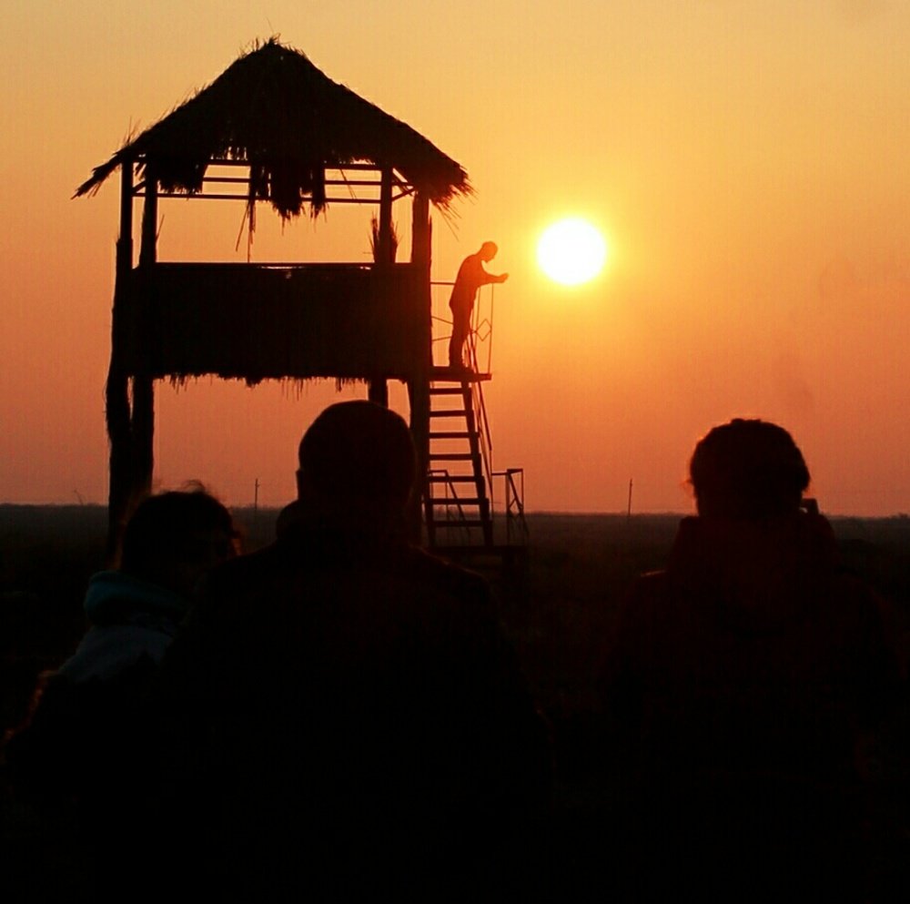 Фотография автора Vusale Zeynalova