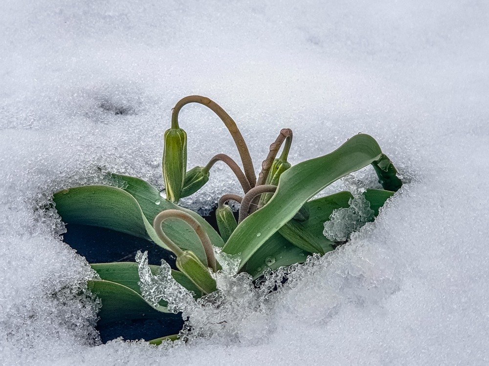 Photograph by mikhail goryachev