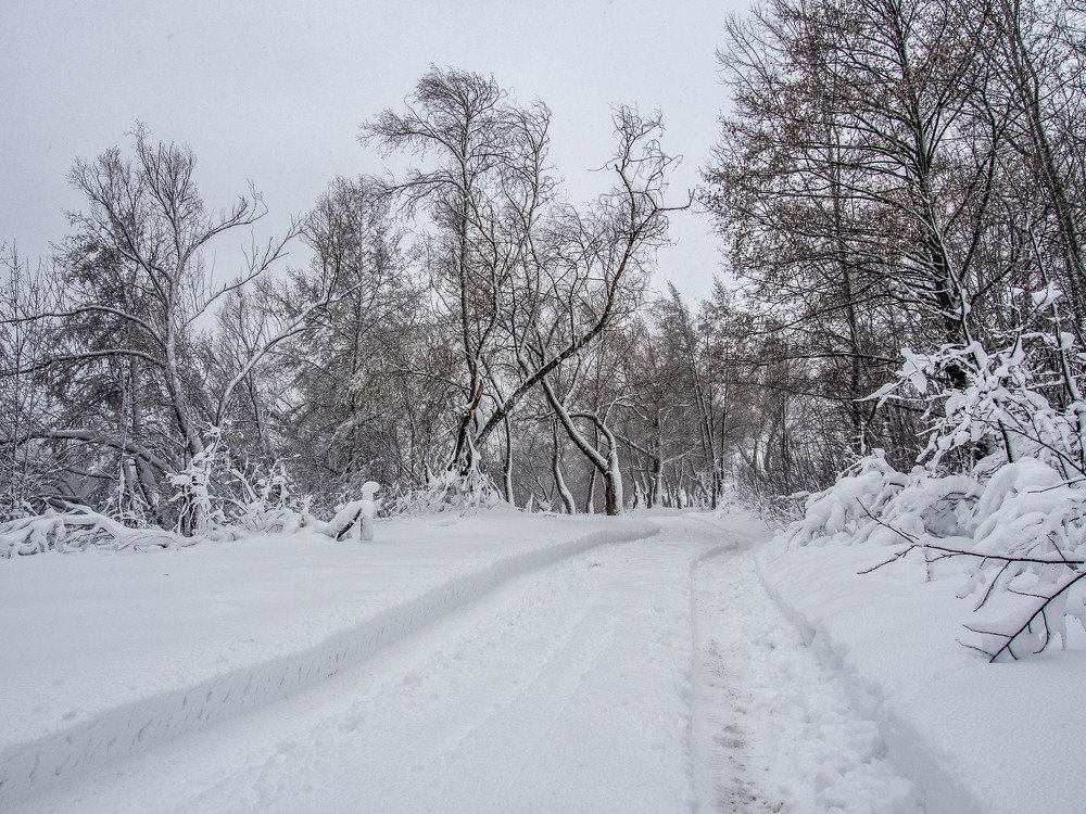 Photograph by mikhail goryachev