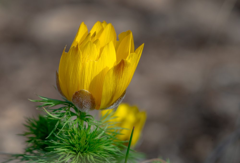 Photograph by Сергей Зелинский