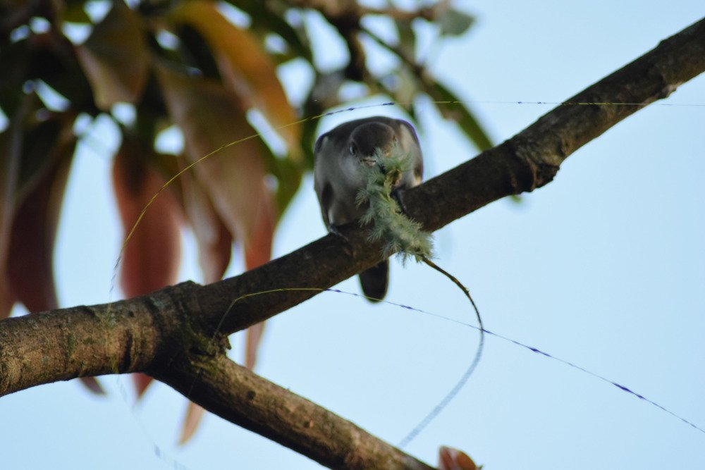 Фотография автора Jenny María Quirós Jiménez
