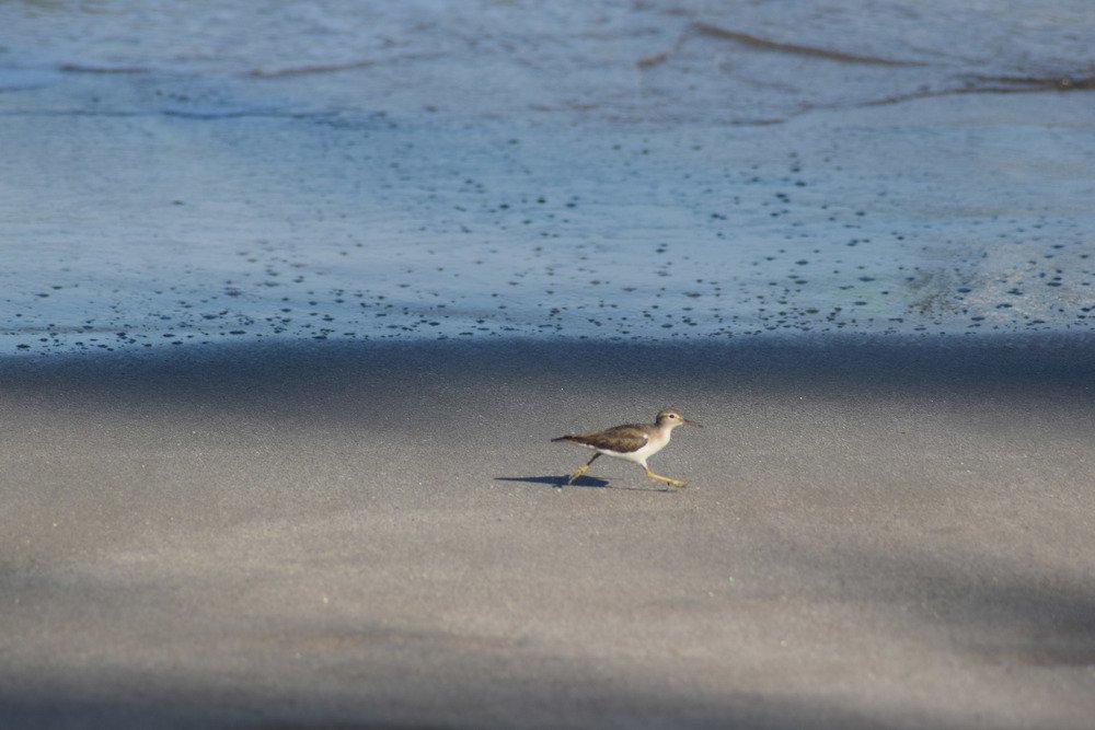 Фотография автора Jenny María Quirós Jiménez