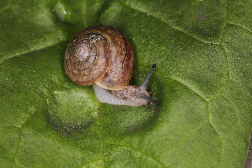 Photograph by Сергей Мозговой