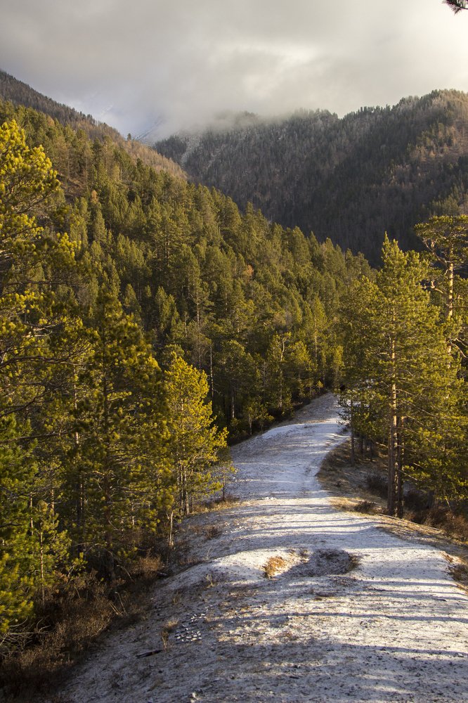 Photograph by Сергей Мозговой