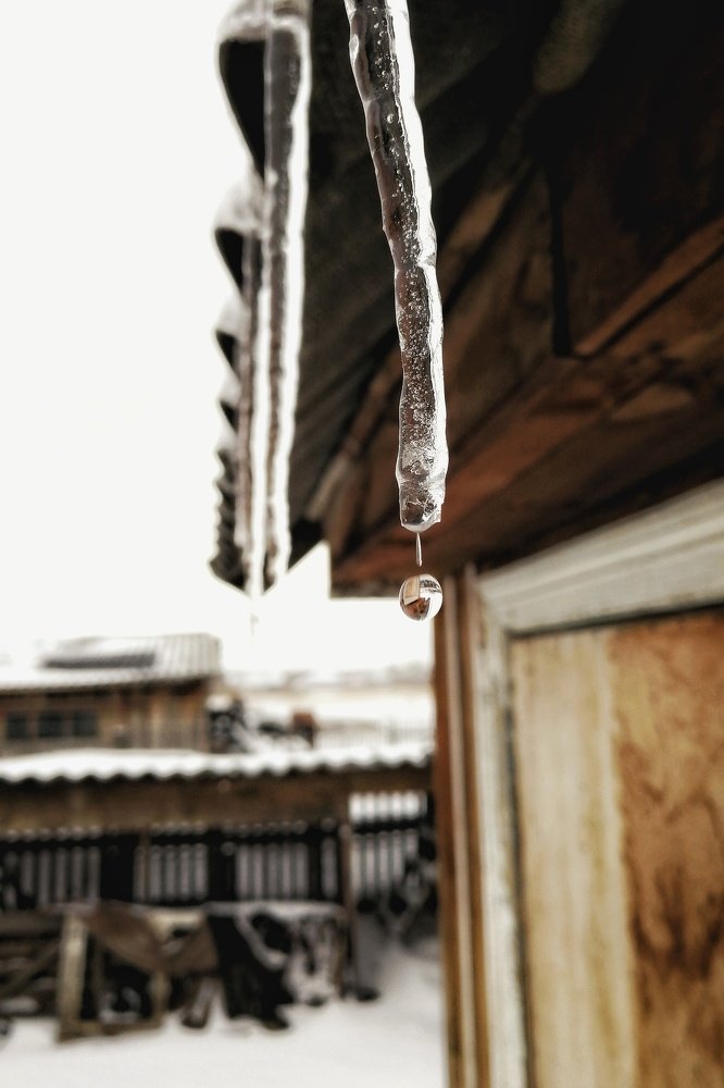 Photograph by Евгений Самохин