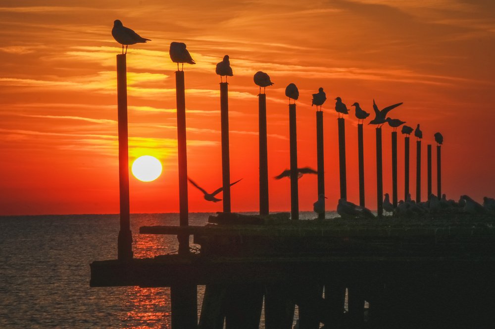 Photograph by Mariya Valeva