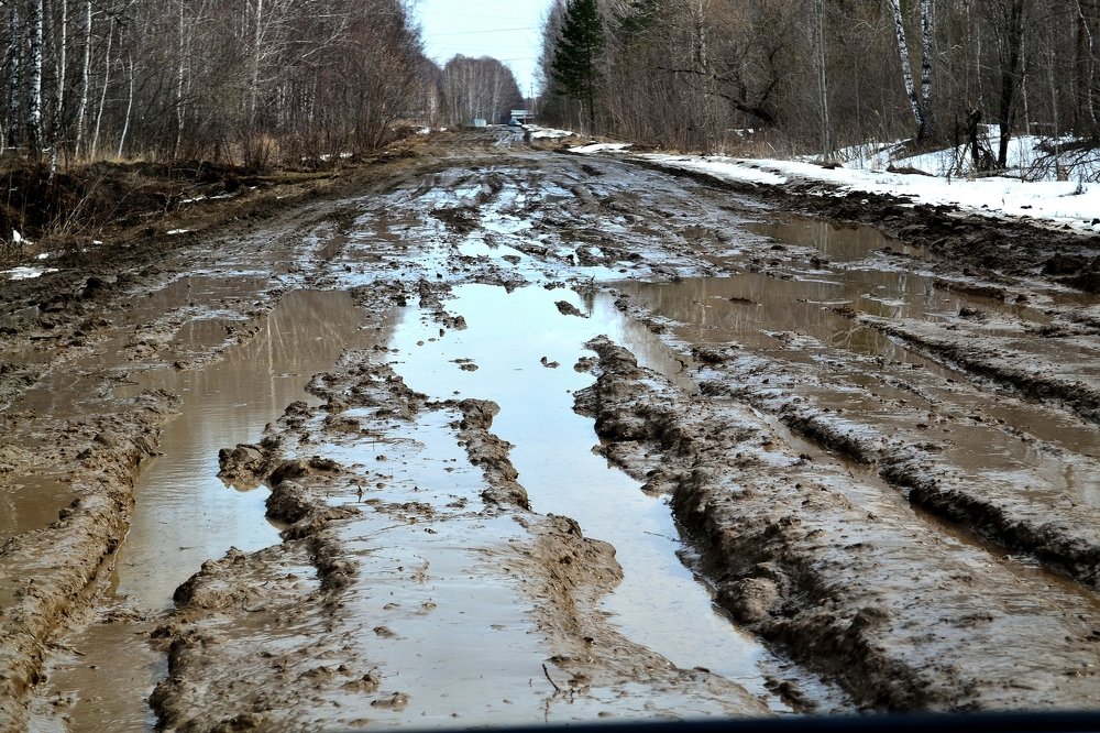 Эх,дороги...