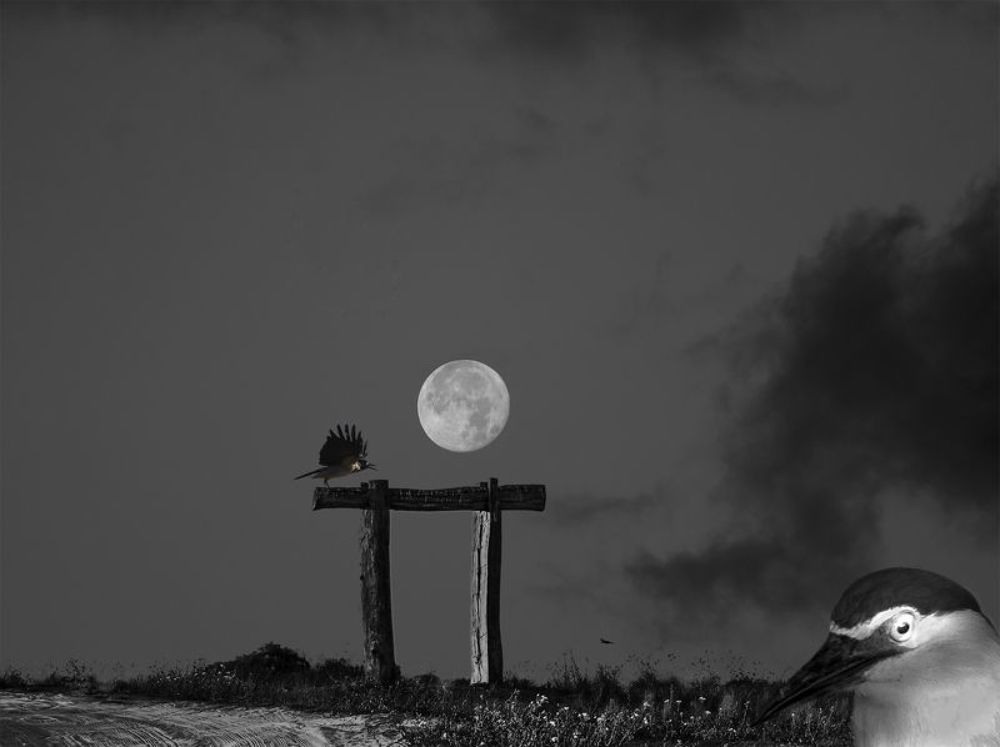 Photograph by Leonid Lan