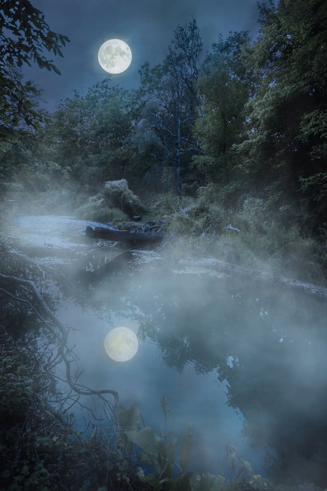 Photograph by Jelena Potrebic