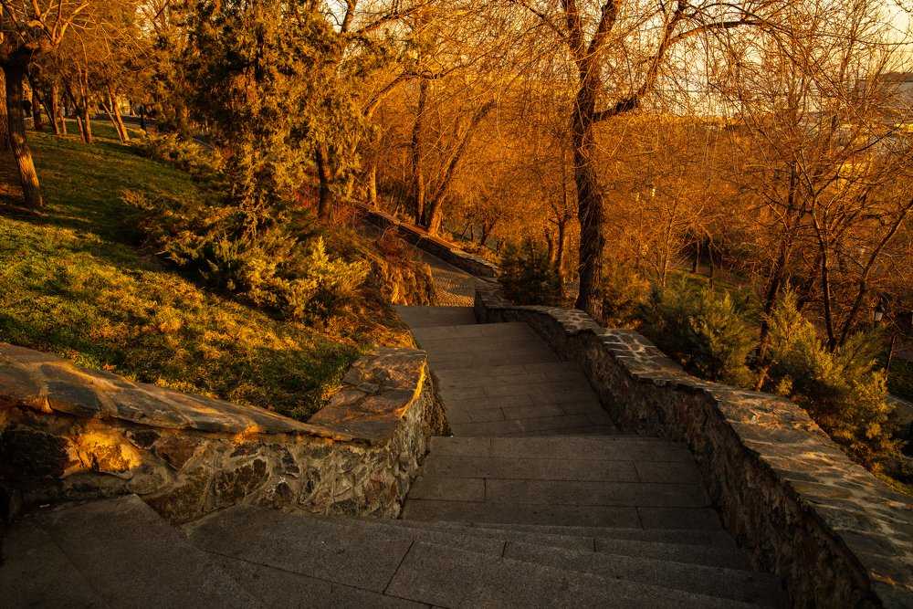 Photograph by Сергей Лазуткин