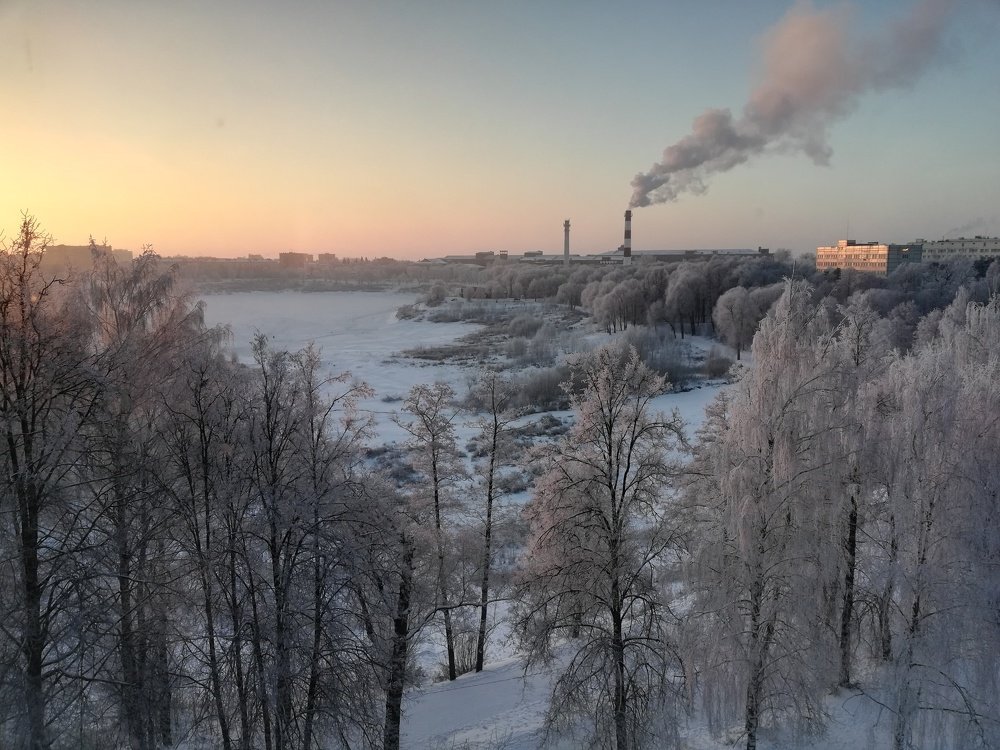 Морозное утро в зимнем парке