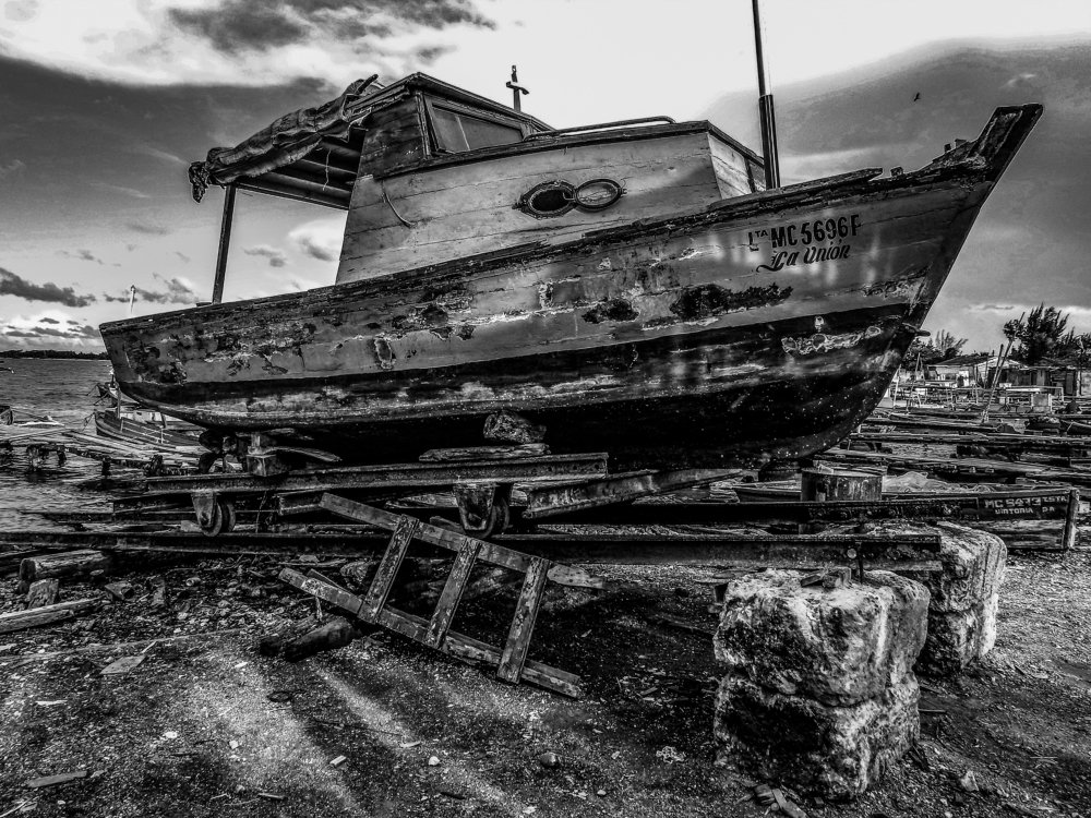 Photograph by Alex Arbolaez