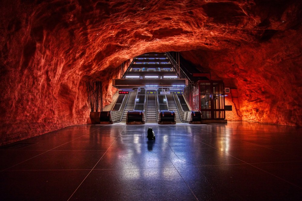 Photograph by Николай Сизиков