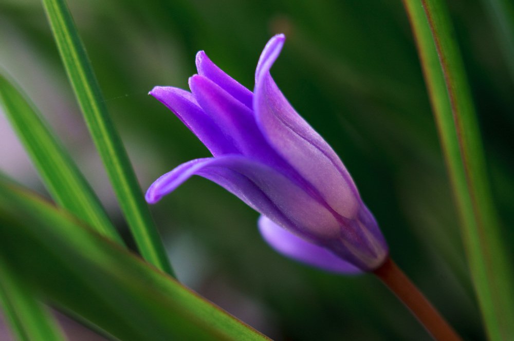 Photograph by Владимир Янчук