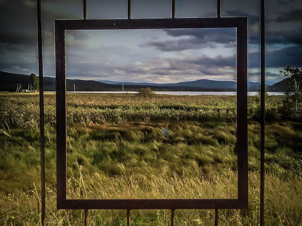 Photograph by Валентина Артамонова