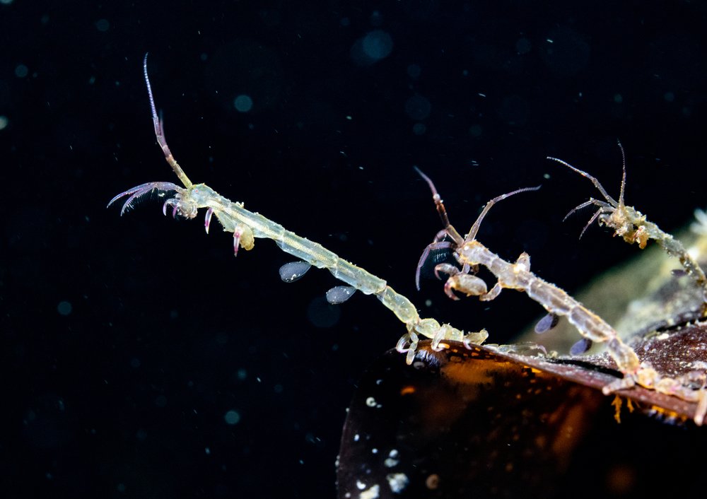 Photograph by Алексей Миролюбов