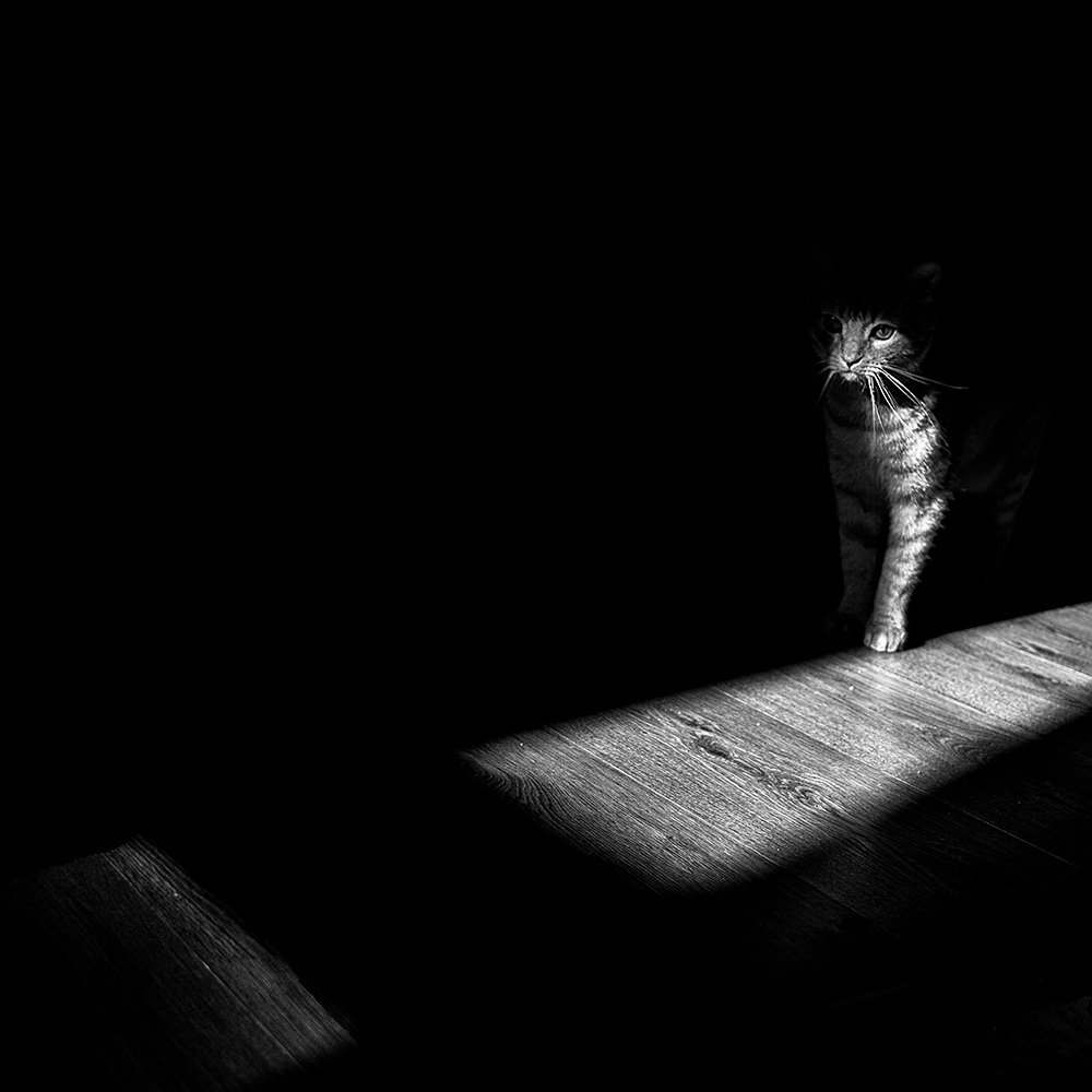 Photograph by Barbora Nebeská