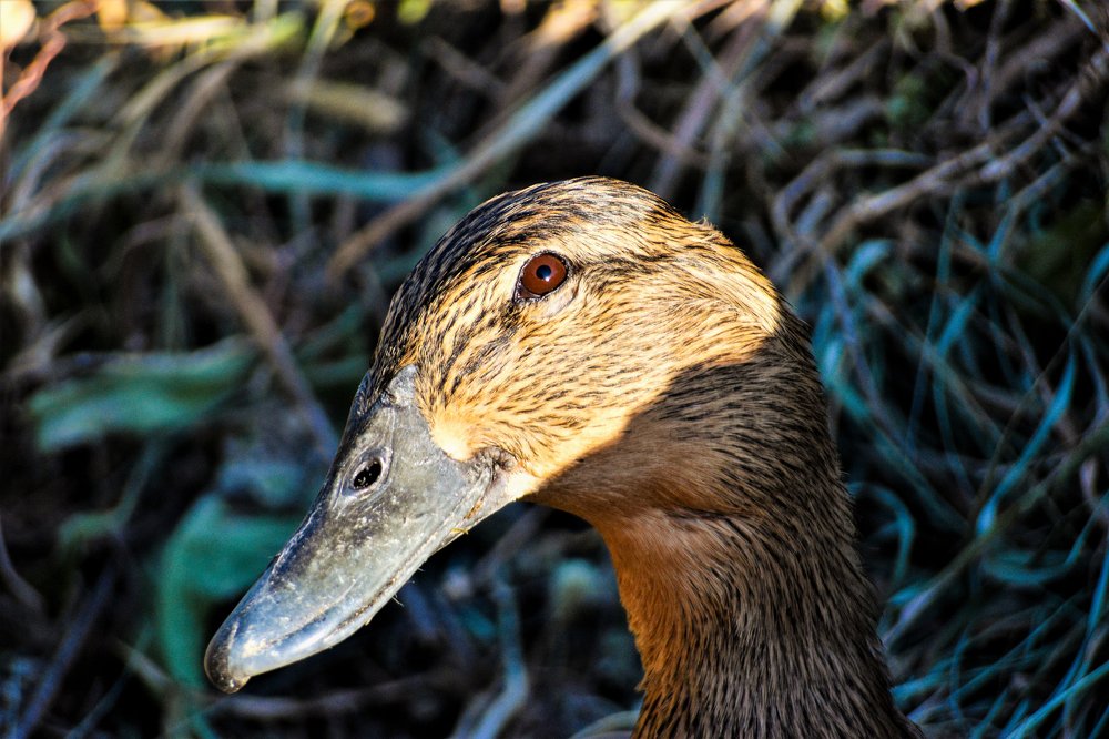 Photograph by Odysseas Christofides