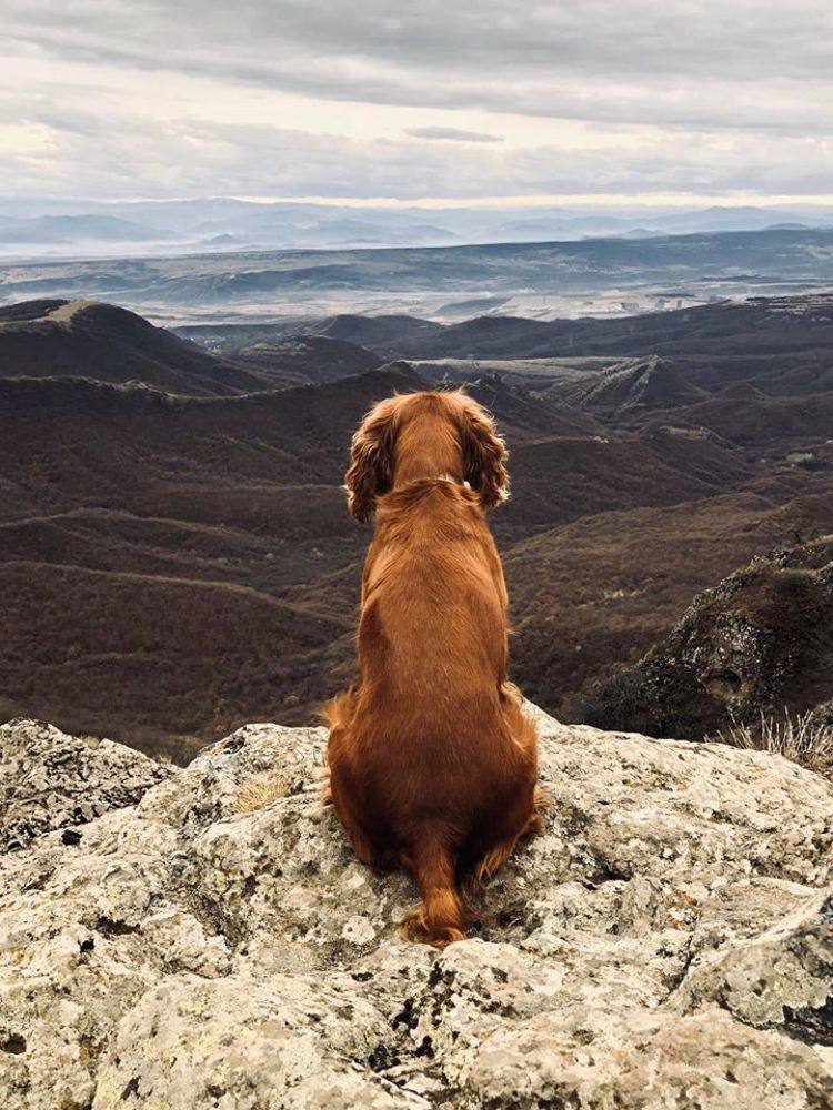 Photograph by Татьяна