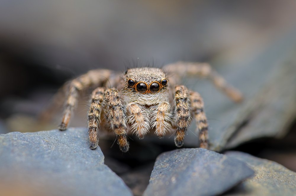 Фотография автора Сергей Чебанов