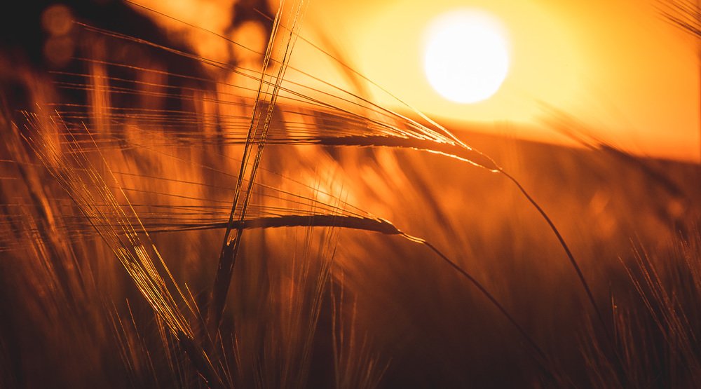 Photograph by Рымаров Александр