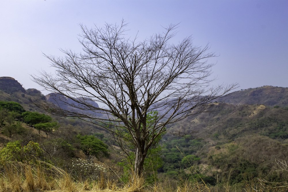 Photograph by Jesus Santamaría