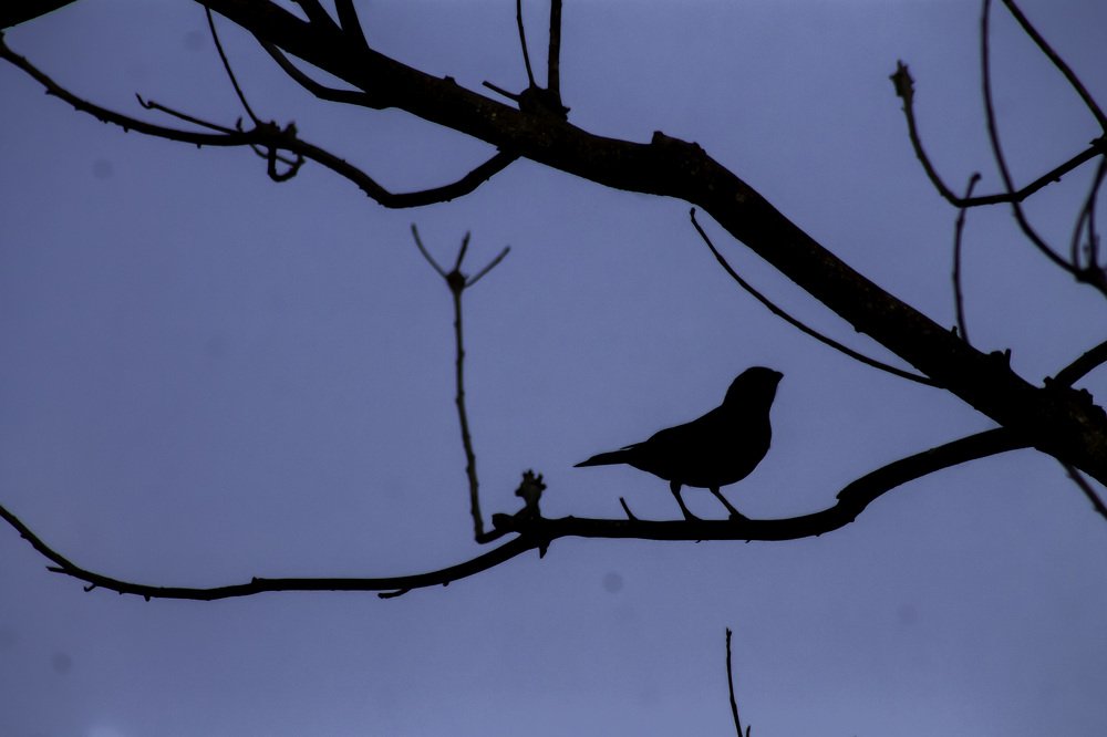 Photograph by Jesus Santamaría