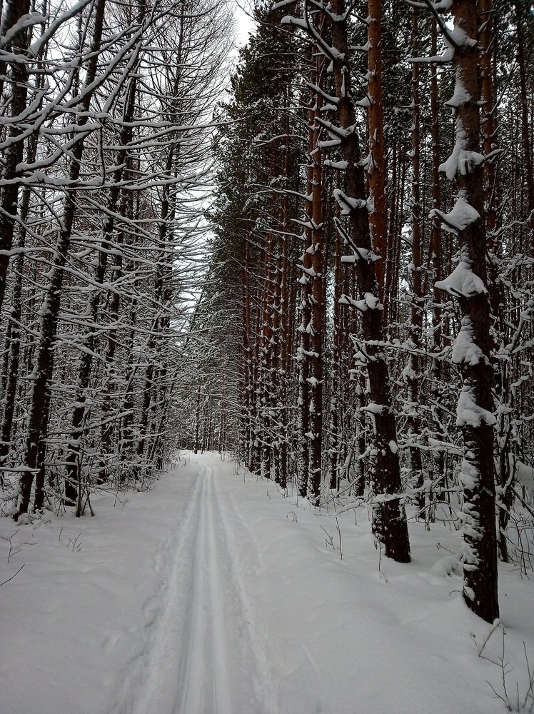 Photograph by Лариса Капустина