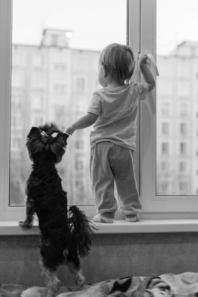 Photograph by Александр Шилов