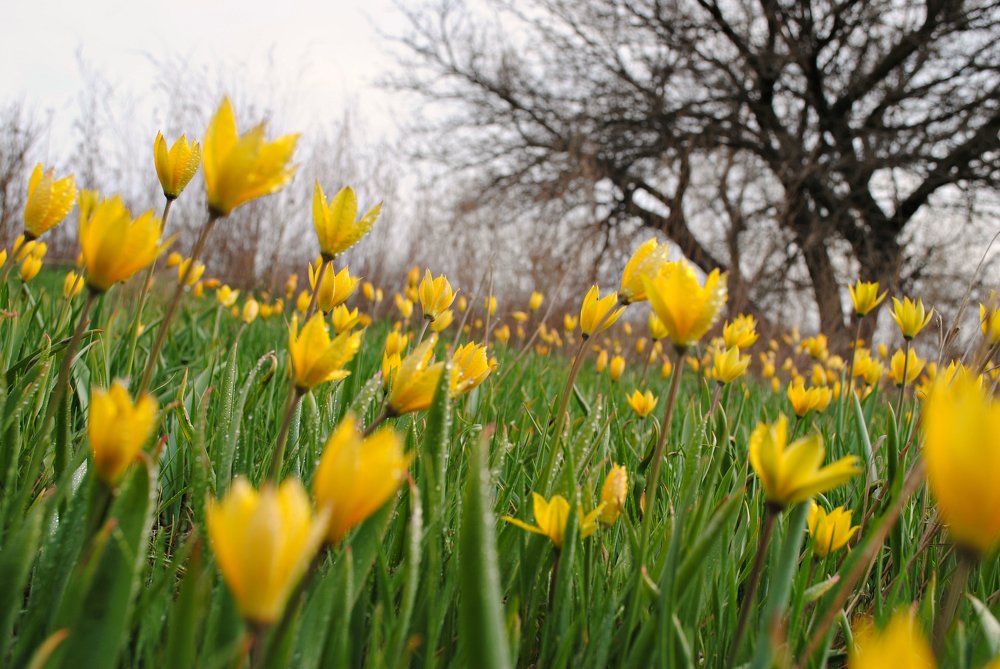 Photograph by Наталия Захарова