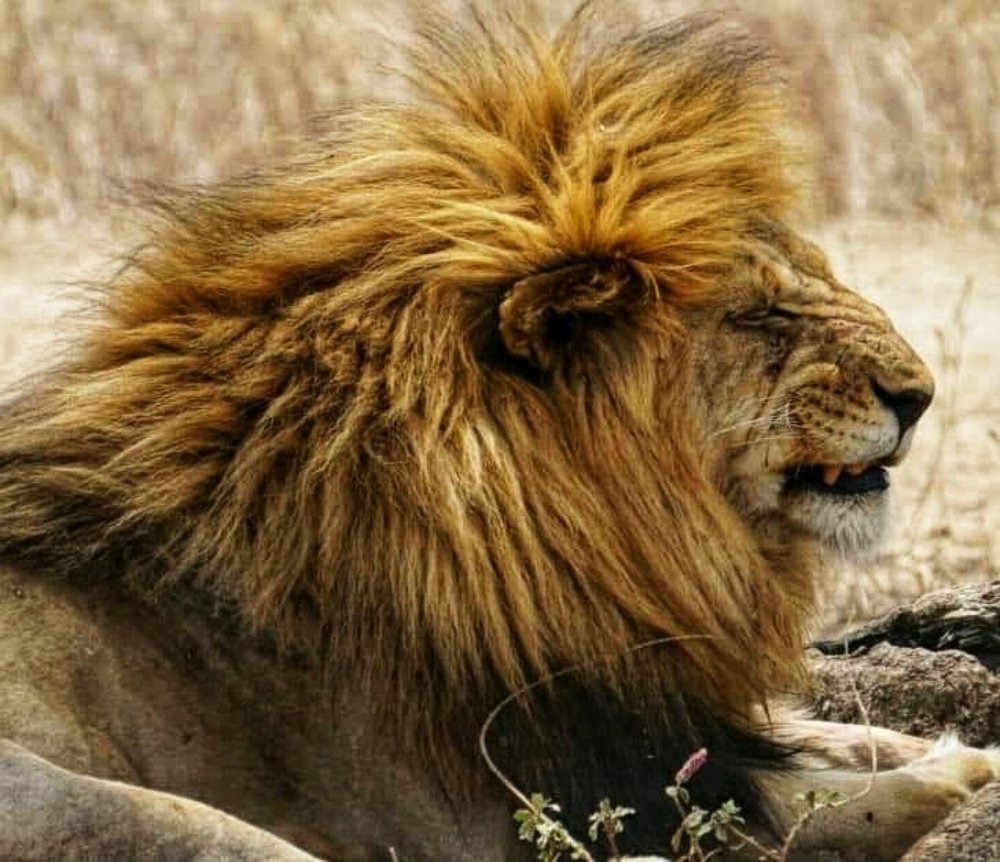 Photograph by Carla willoughby