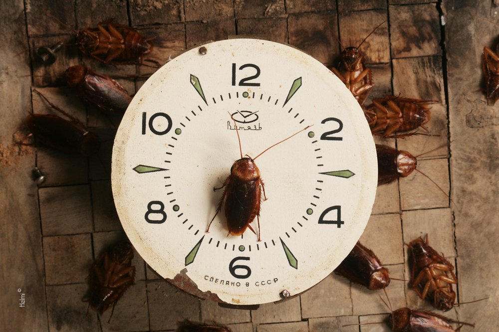 Photograph by helmi jribi