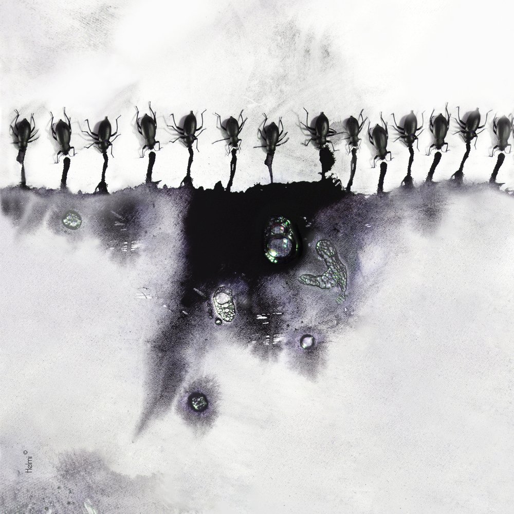 Taches d'encre