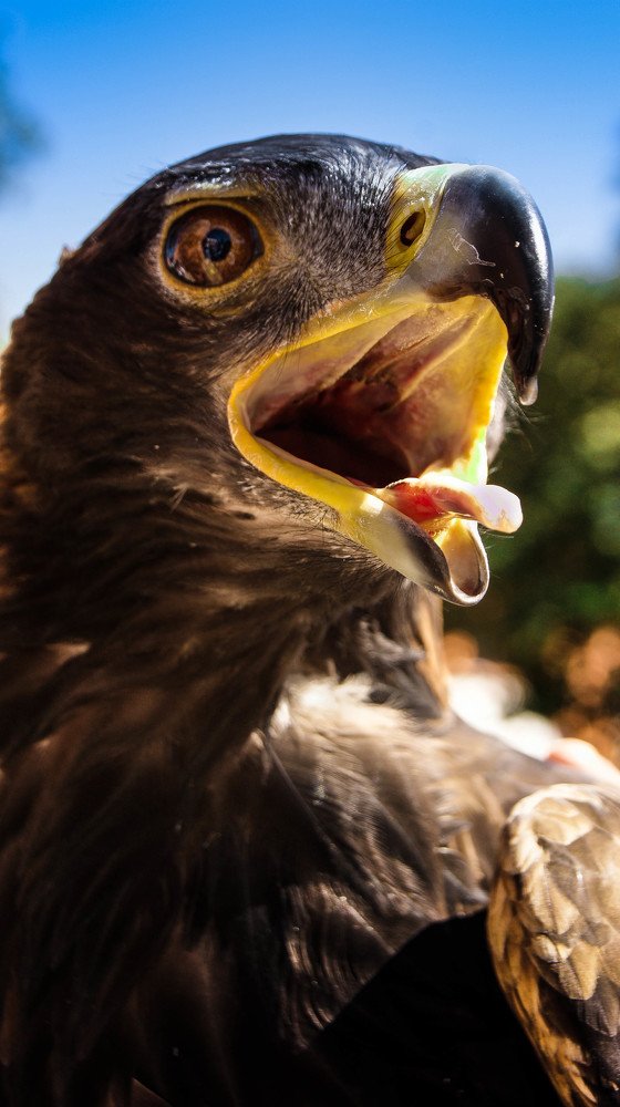 Photograph by edgar ramírez