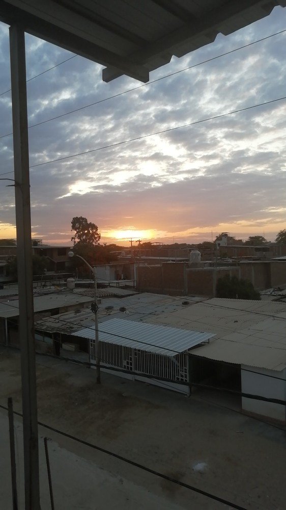 Photo #4539459