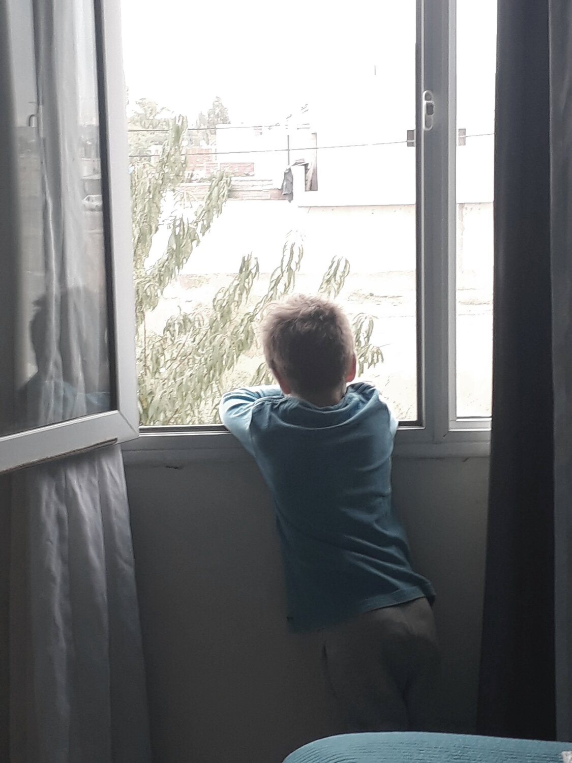 Photo #4539471