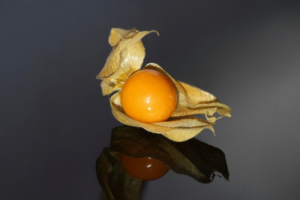 Photograph by Illés Emeric Imre