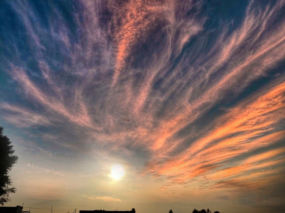 Photograph by Эльвира Ухтырская