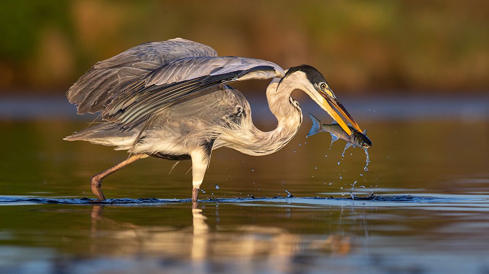 Photograph by Andrés Ruggeri