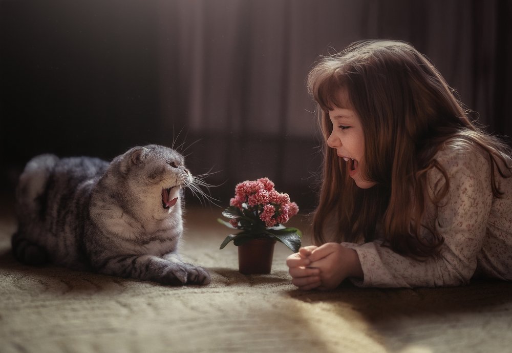 Ссора на карантине.